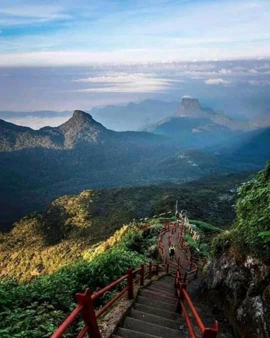 Lily Adam'S Peak Bed and Breakfast Nallathanniya Buitenkant foto