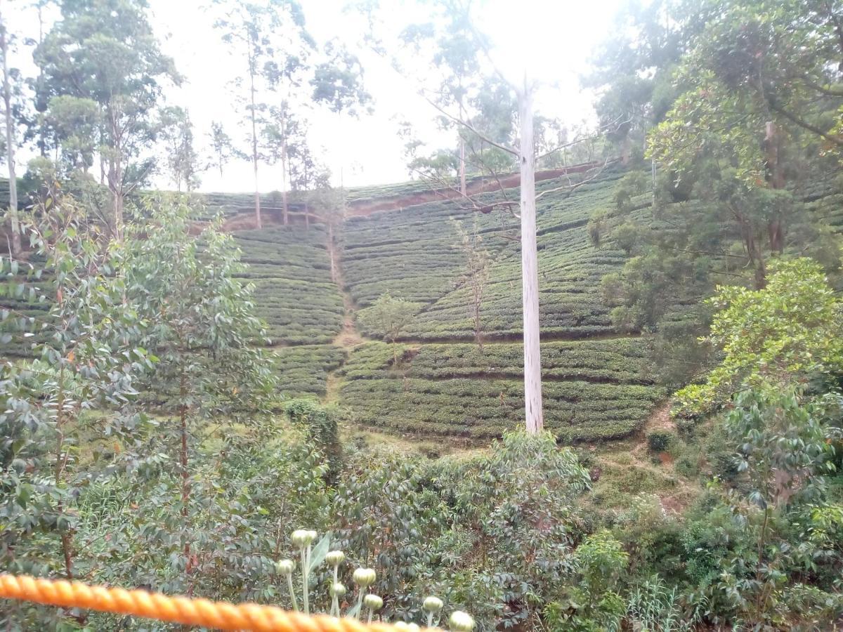 Lily Adam'S Peak Bed and Breakfast Nallathanniya Buitenkant foto