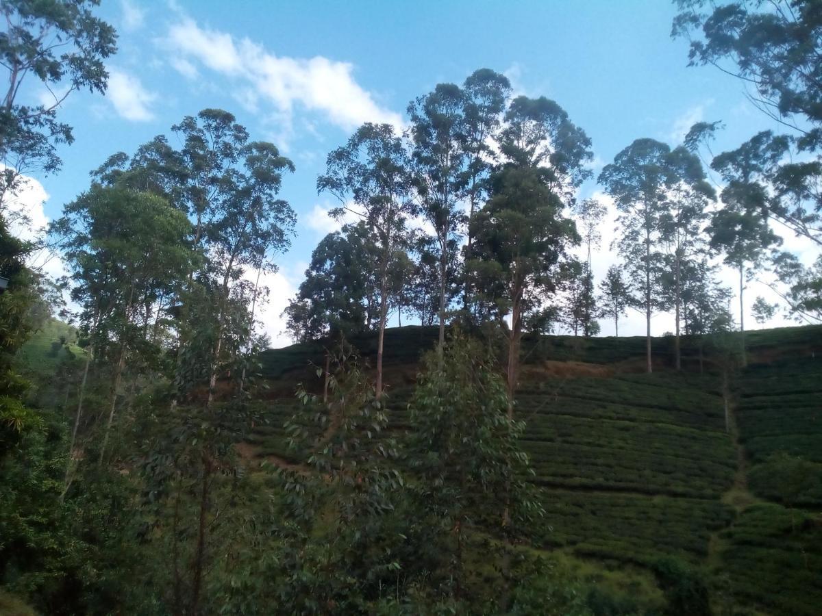Lily Adam'S Peak Bed and Breakfast Nallathanniya Buitenkant foto