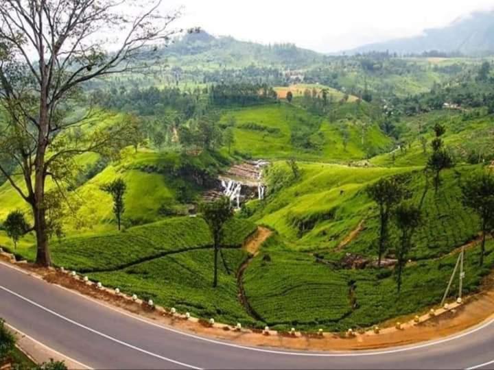 Lily Adam'S Peak Bed and Breakfast Nallathanniya Buitenkant foto