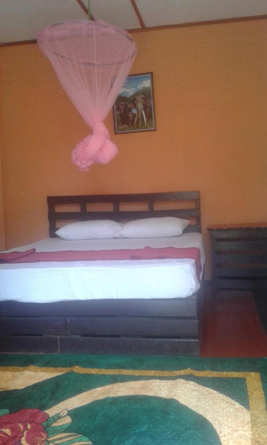 Lily Adam'S Peak Bed and Breakfast Nallathanniya Buitenkant foto