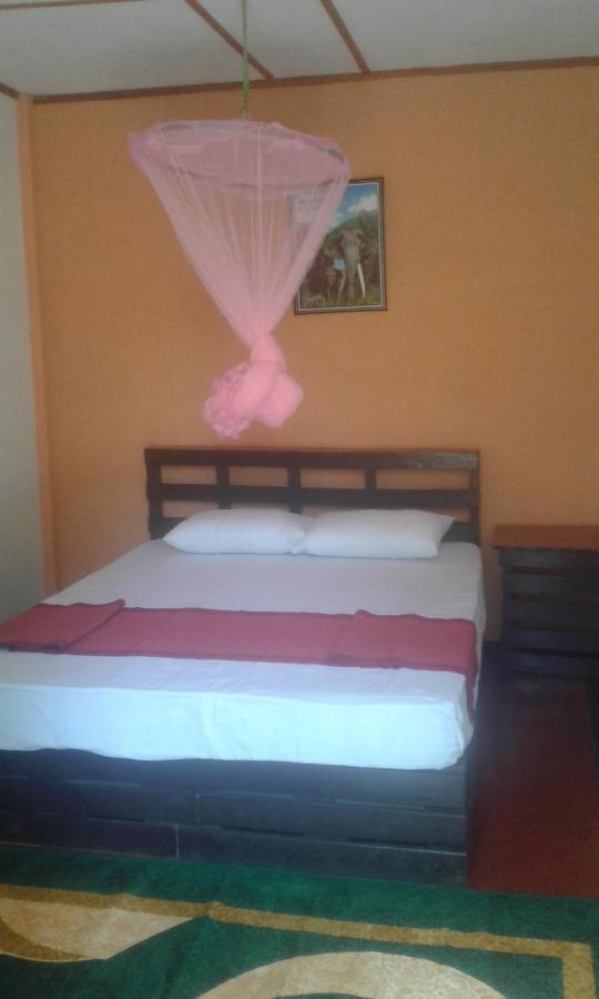 Lily Adam'S Peak Bed and Breakfast Nallathanniya Buitenkant foto